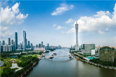 探索上海崇明岛的品茶之旅 探索上海崇明岛的品茶之旅